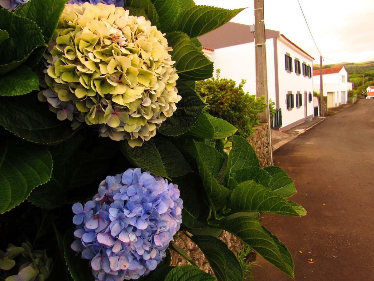 Apartamento Casa L&M Lajes das Flores Exterior foto
